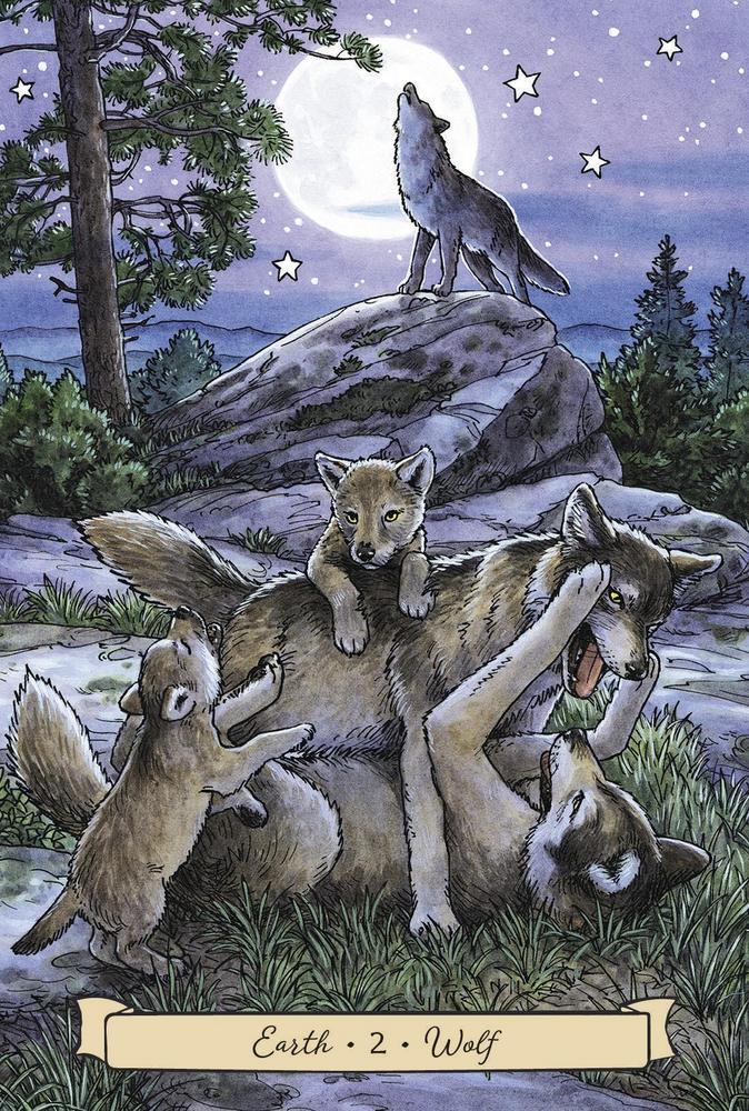 Everyday Witch's Familiars Oracle Cards