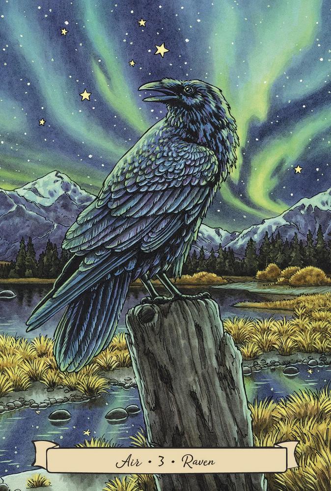 Everyday Witch's Familiars Oracle Cards