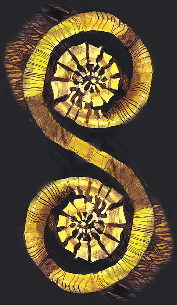 Primordial Tarot Cards