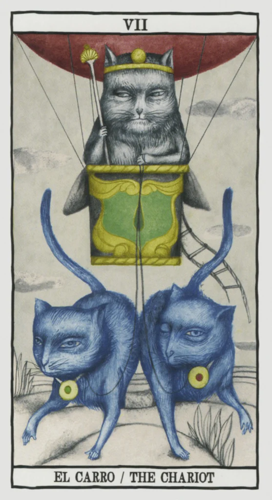 Tarot Cats Cards