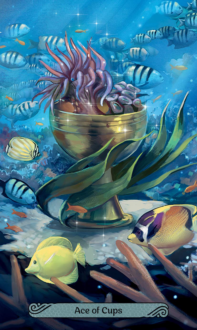 Mermaid Tarot Cards