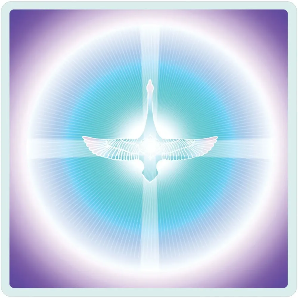 Dimensions of Light Cards