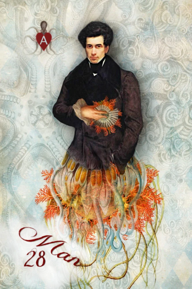 The Sirens Song Cards