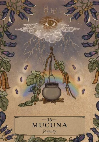 Herbal Astrology Oracle Cards