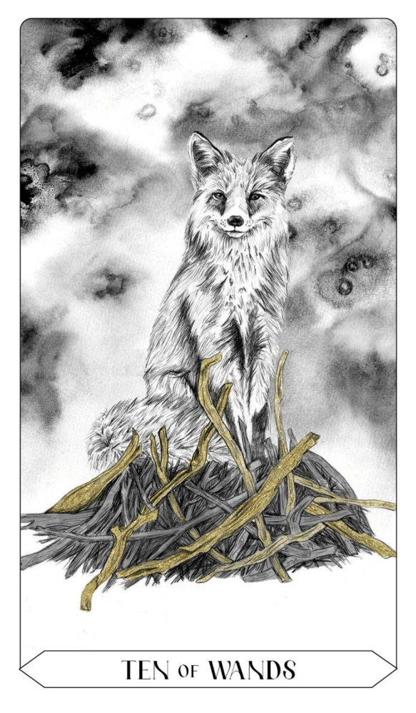 Lumina Tarot Cards