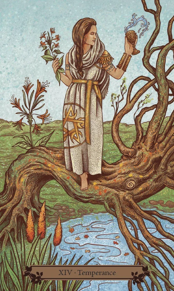 The Hedgewitch Tarot Cards
