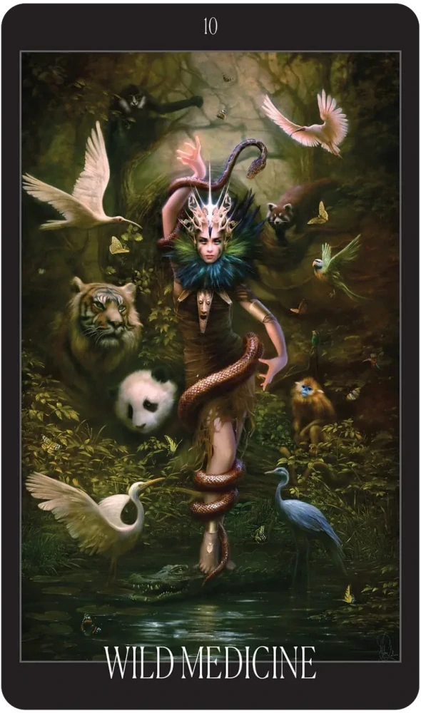 Oracle of the Vampire Fae
