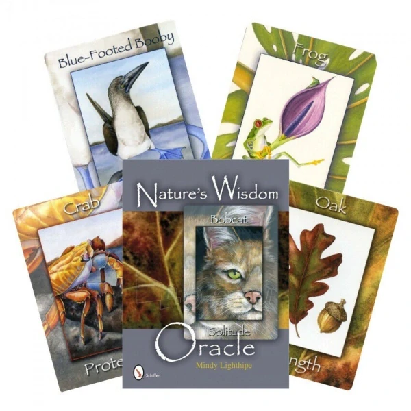 Nature's Wisdom Oracle Cards