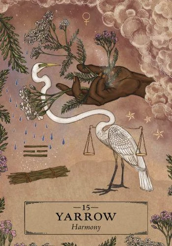 Herbal Astrology Oracle Cards