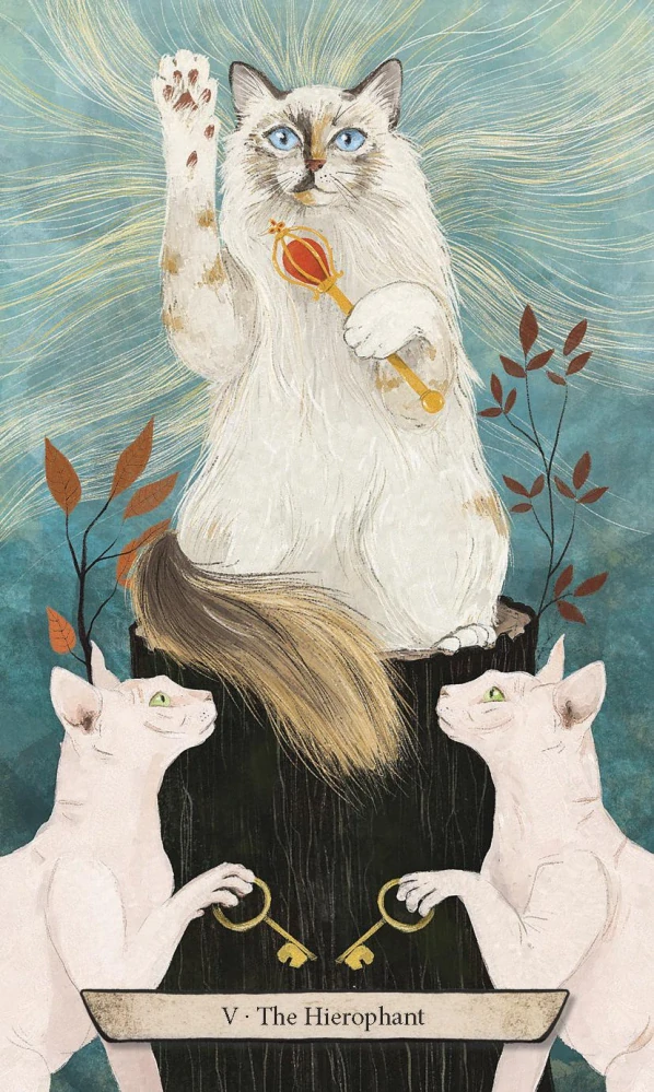 Enchanted Forest Felines Tarot Cards