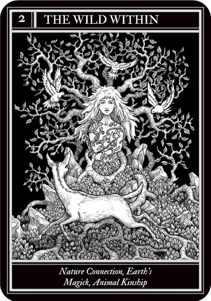 Coven Oracle Cards