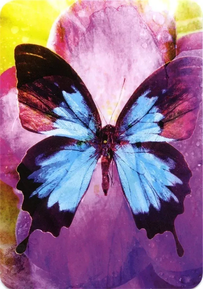 Butterfly Affirmations Cards