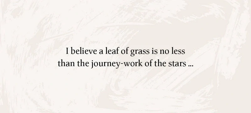 Leaves of Wisdom Cards