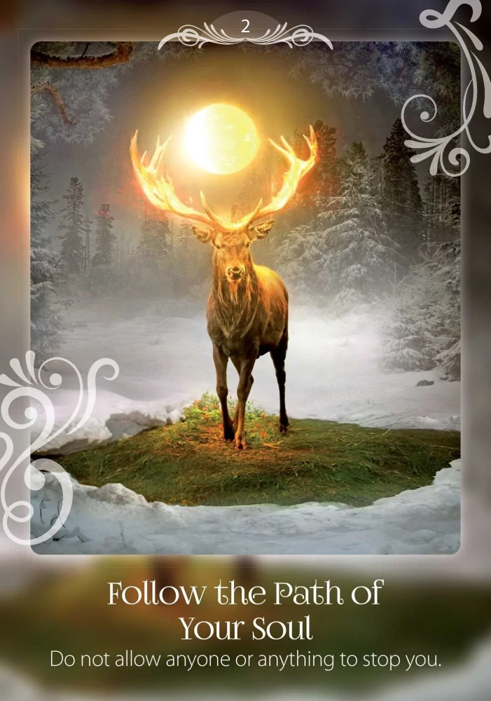 Soul Helper Oracle Cards