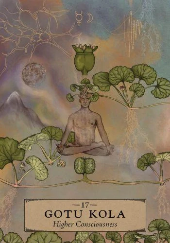 Herbal Astrology Oracle Cards