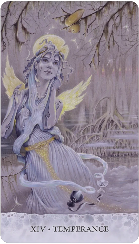 Tarot of Tides Cards