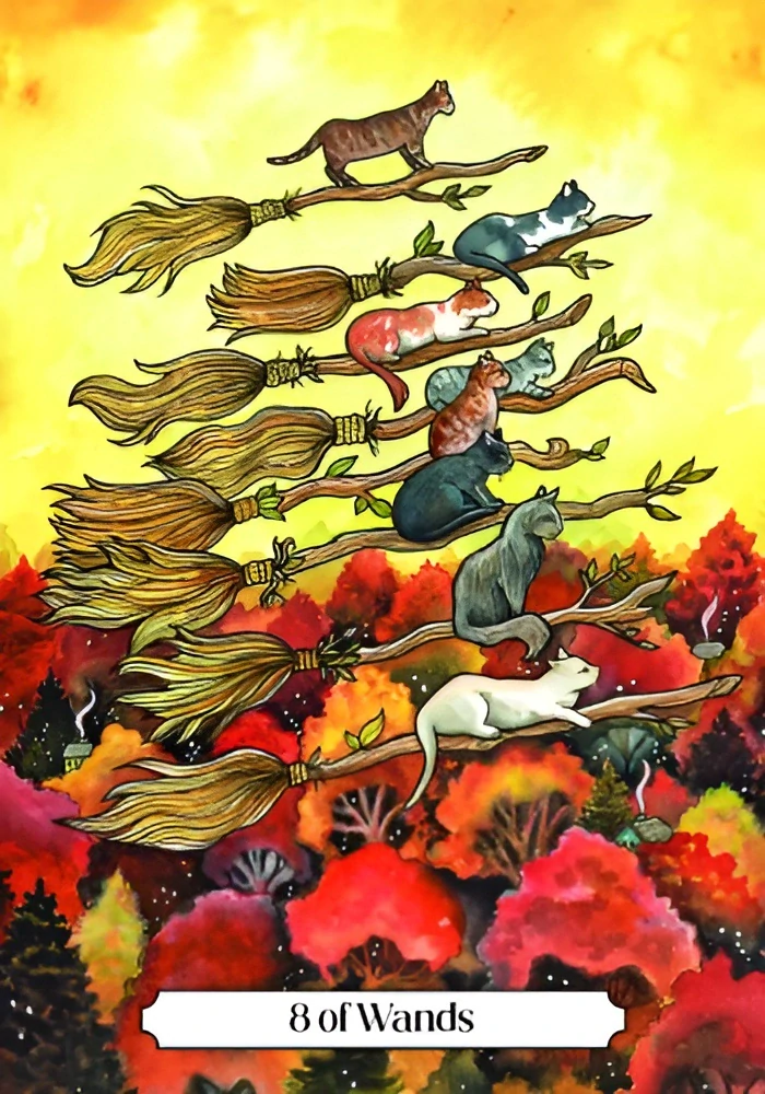 The Heart’s Path Tarot