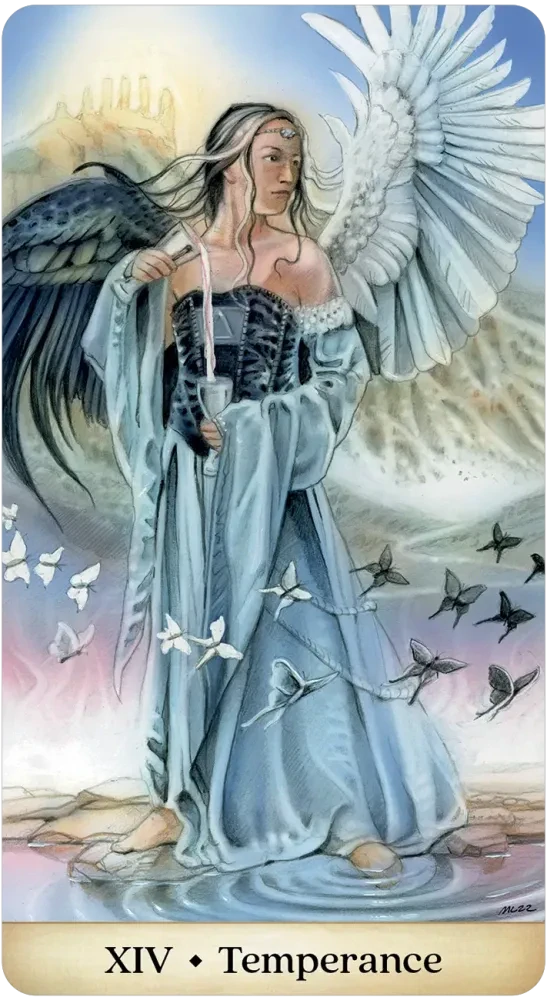 Calandra Tarot Cards