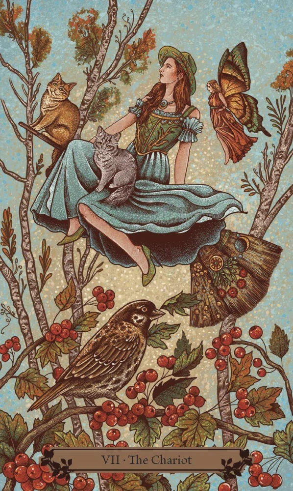 The Hedgewitch Tarot Cards