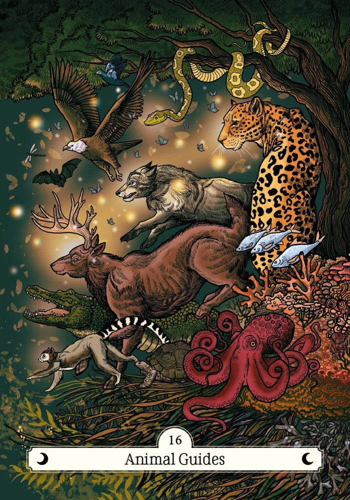 The Witch's Way Home Oracle Cards