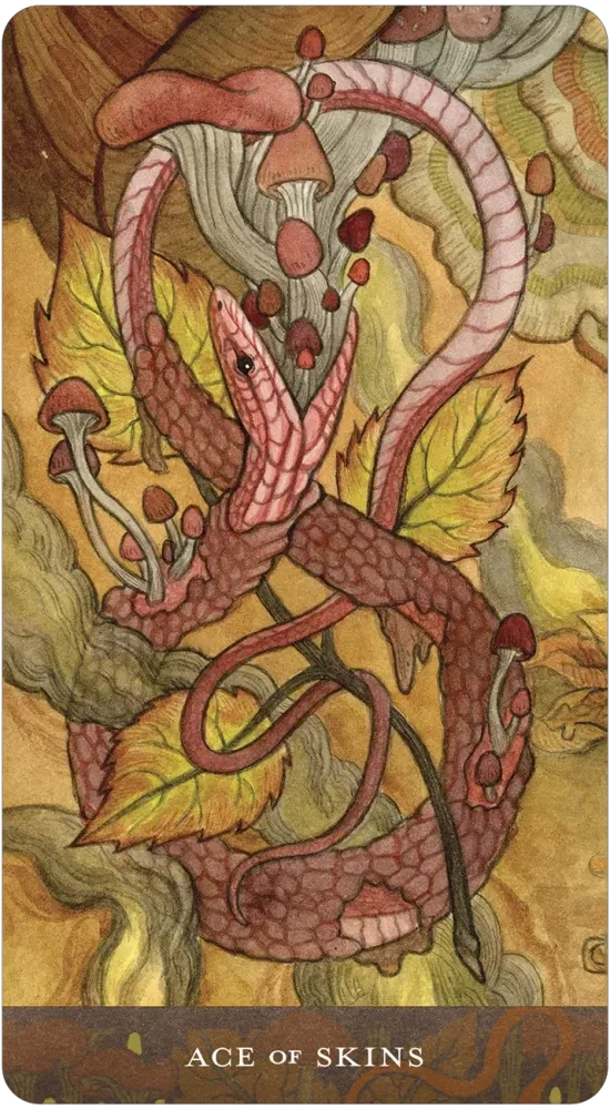 Blood Moon Tarot Cards