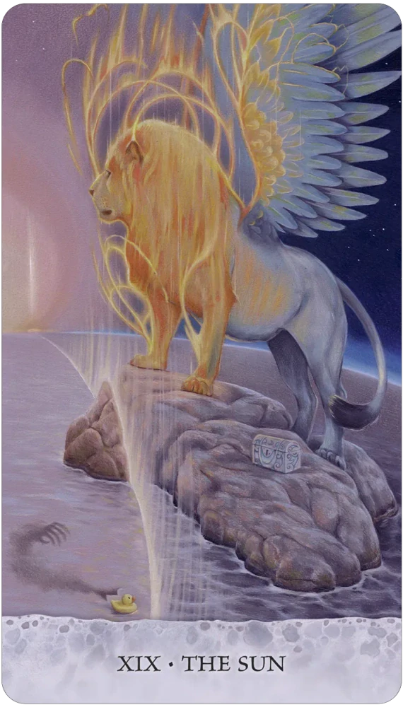 Tarot of Tides Cards