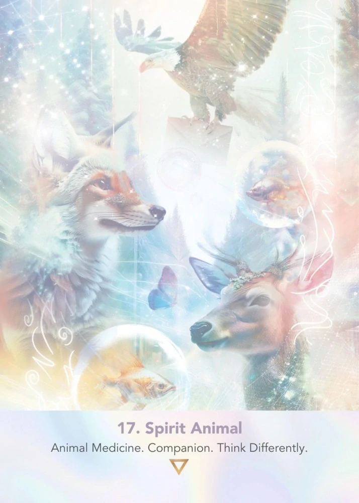 LightWeb Oracle Deck: Soul Technology