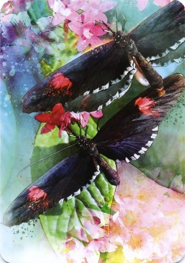 Butterfly Affirmations Cards
