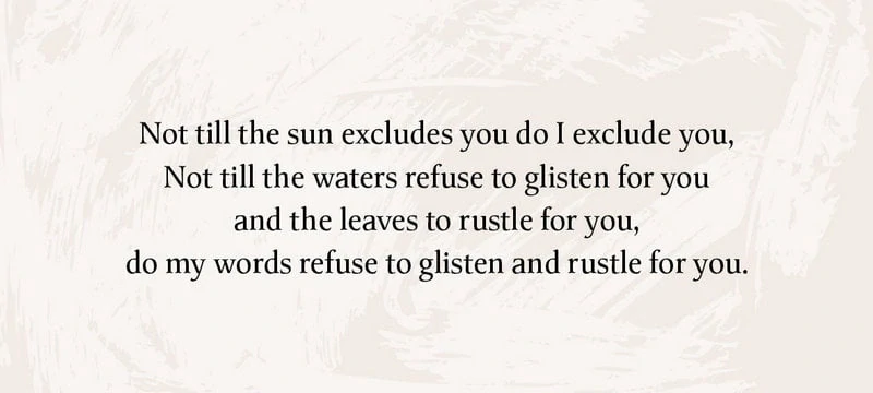 Leaves of Wisdom Cards