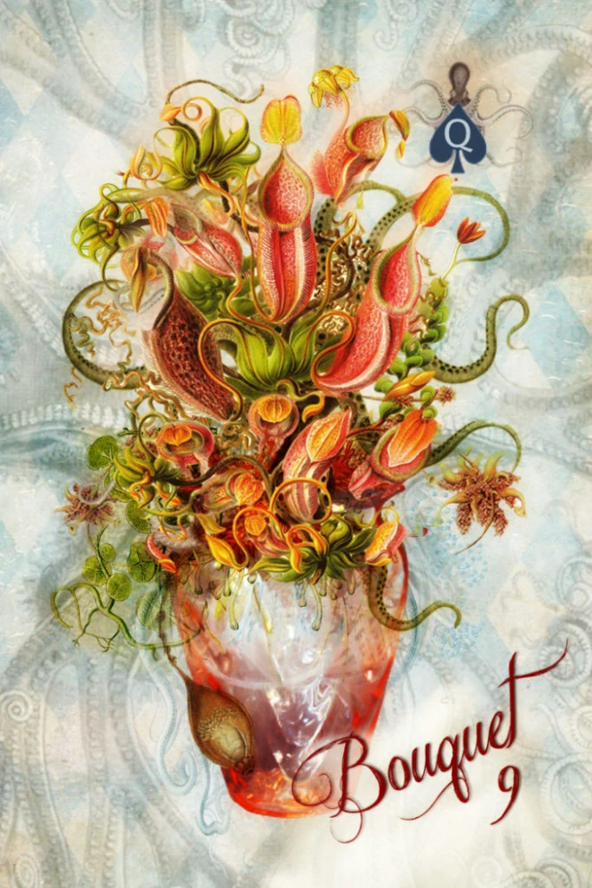 The Sirens Song Cards