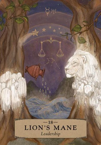 Herbal Astrology Oracle Cards