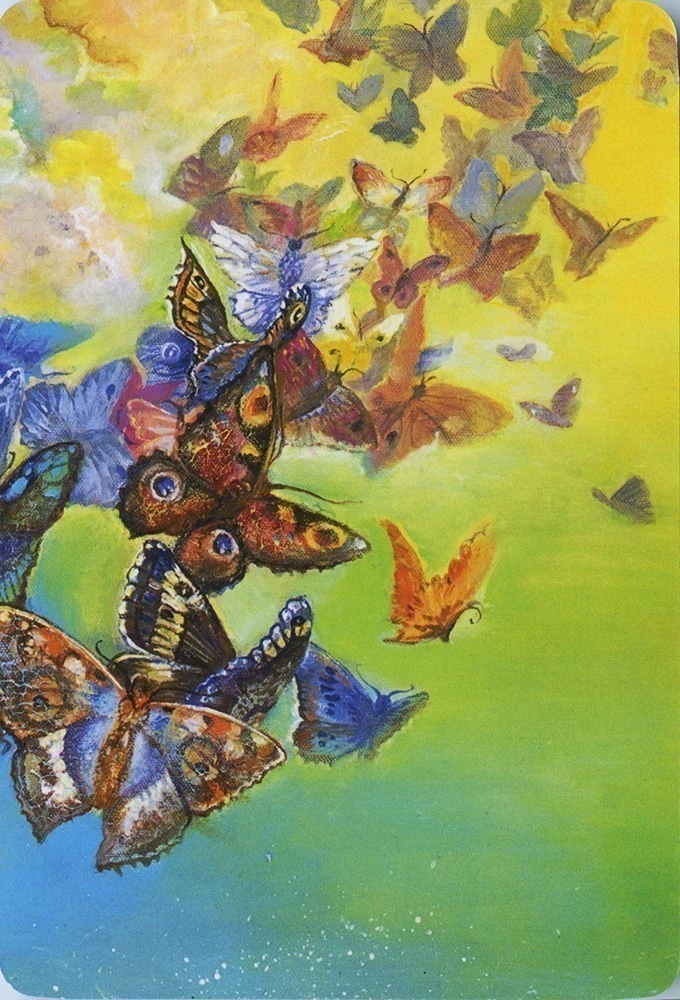 Nature's Whispers Oracle Cards