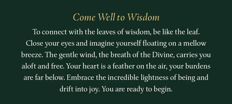 Leaves of Wisdom Cards