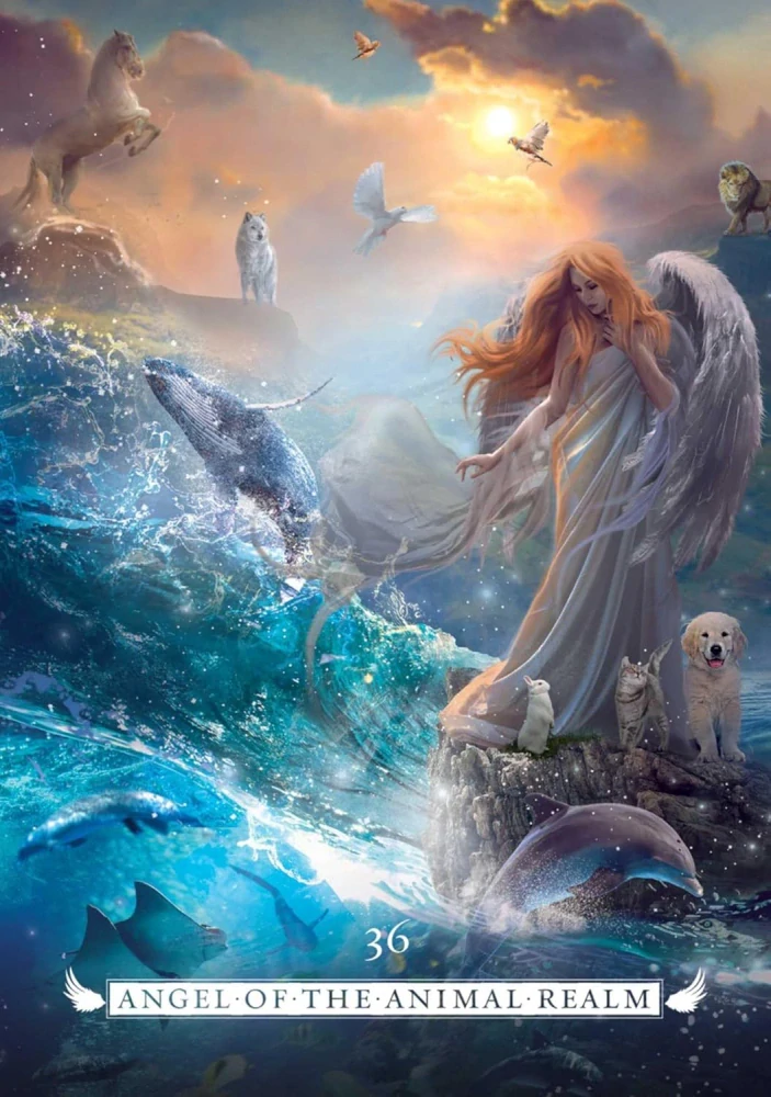 Angel Oracle Cards