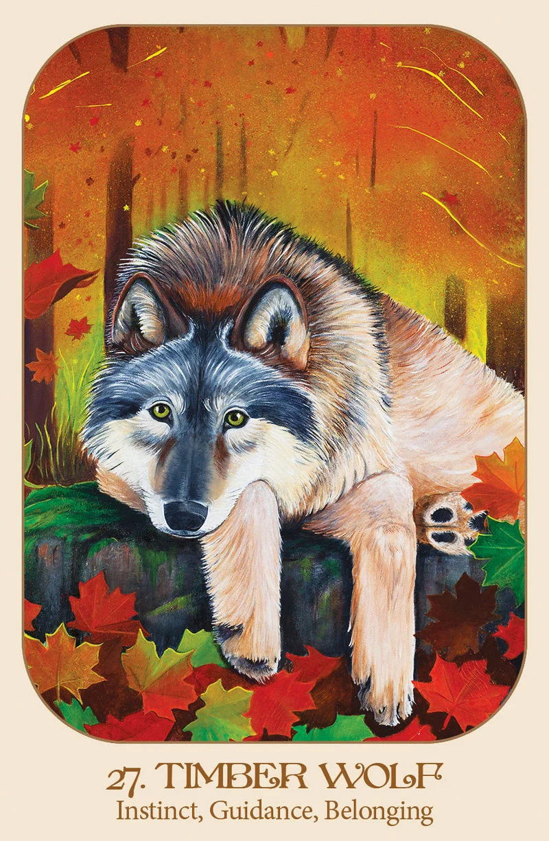 Animal Voices Oracle Cards