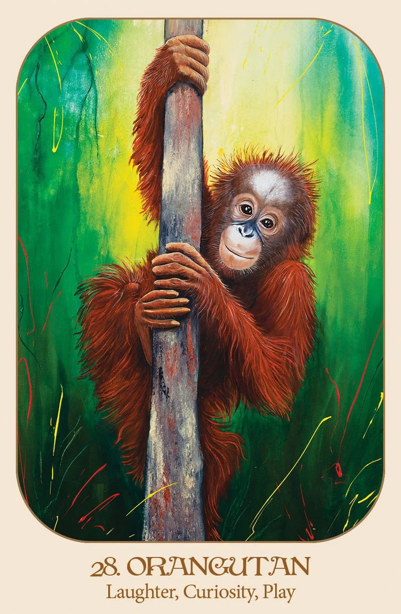 Animal Voices Oracle Cards