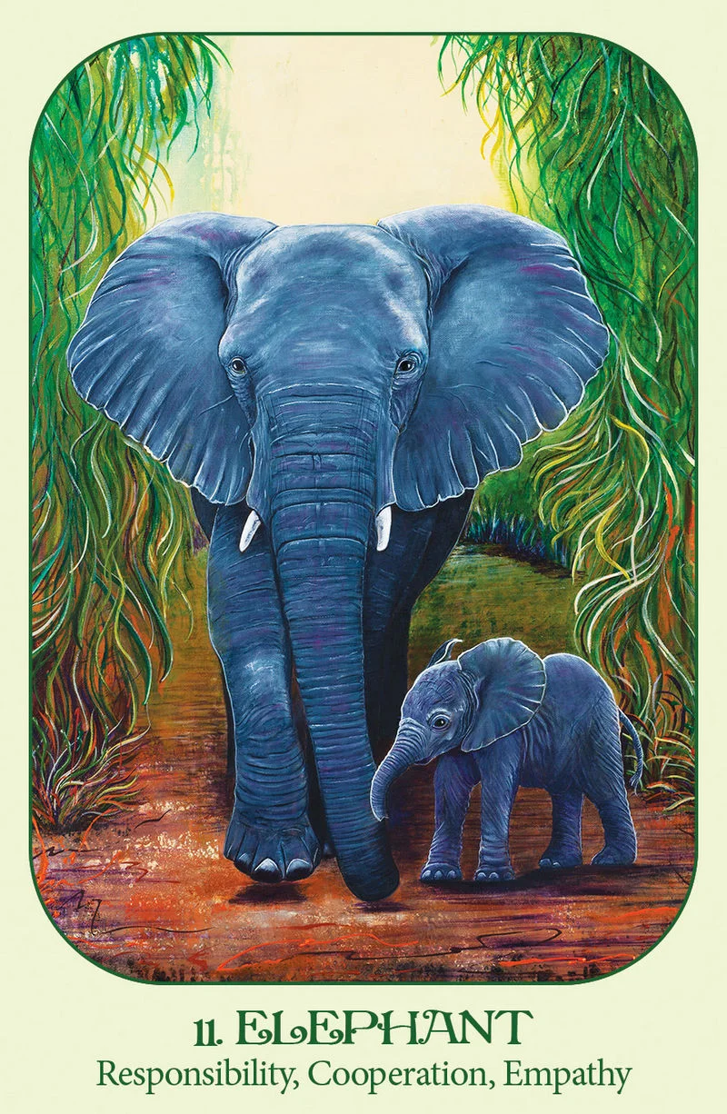 Animal Voices Oracle Cards
