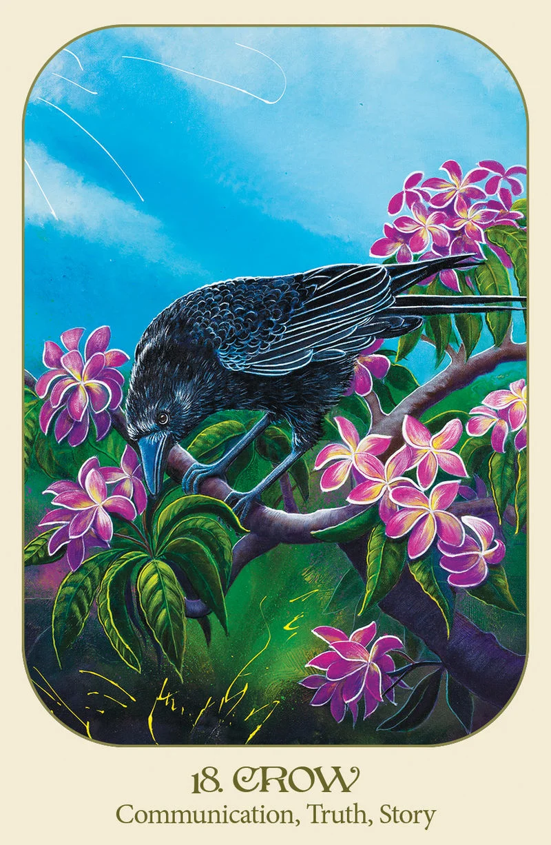 Animal Voices Oracle Cards