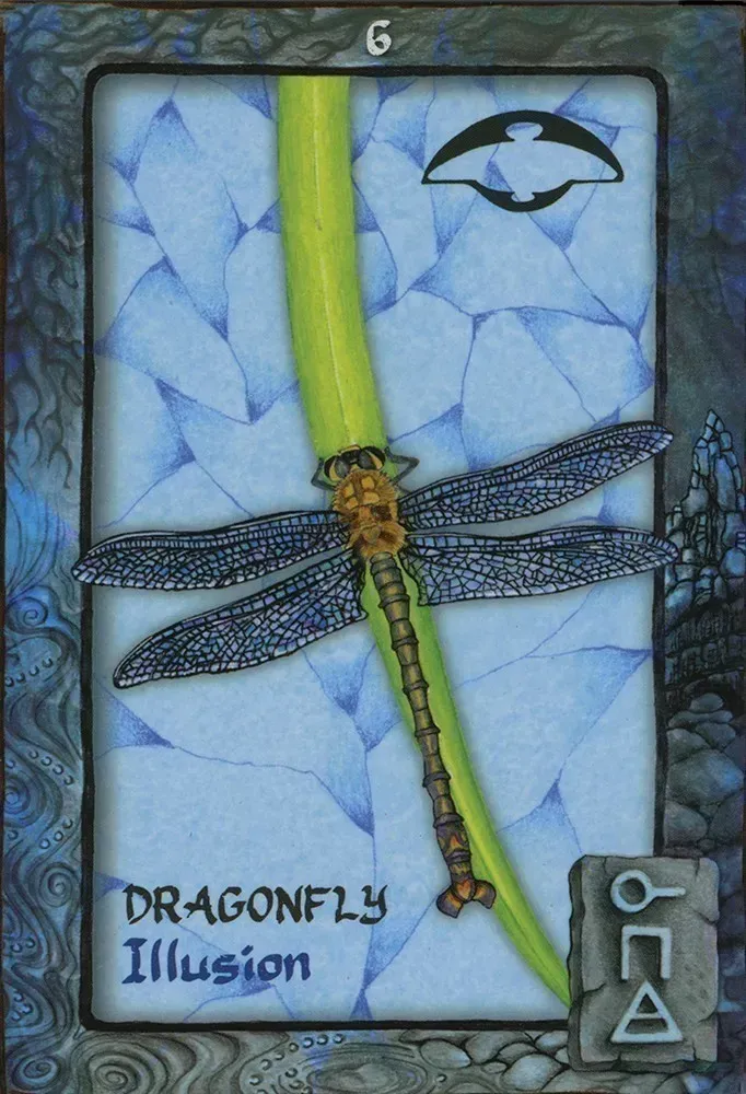 Animal Dreaming Oracle Cards