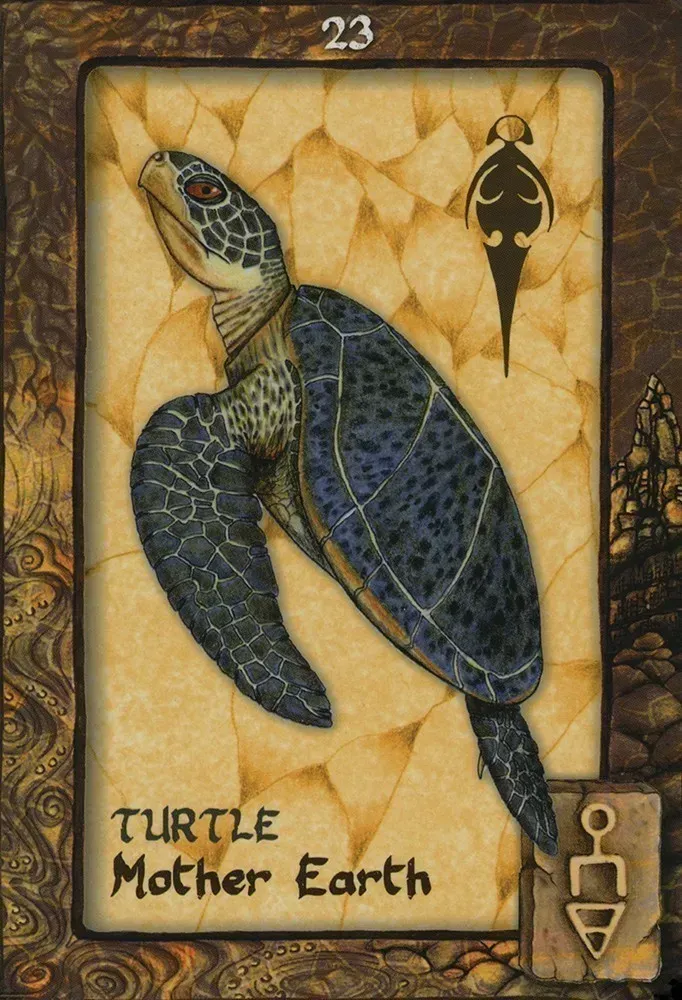 Animal Dreaming Oracle Cards