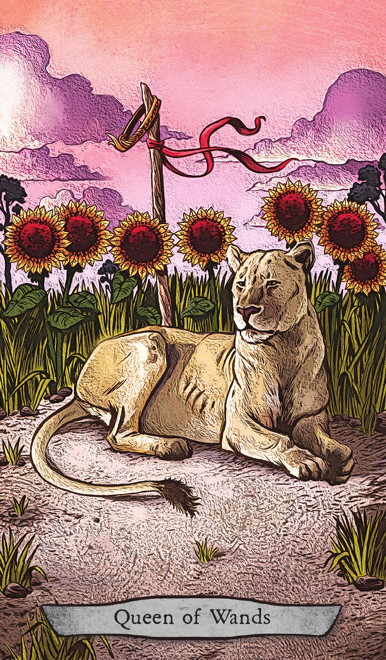 Animal Totem Tarot Cards