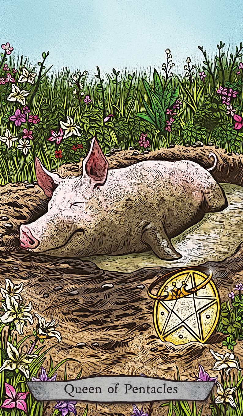 Animal Totem Tarot Cards