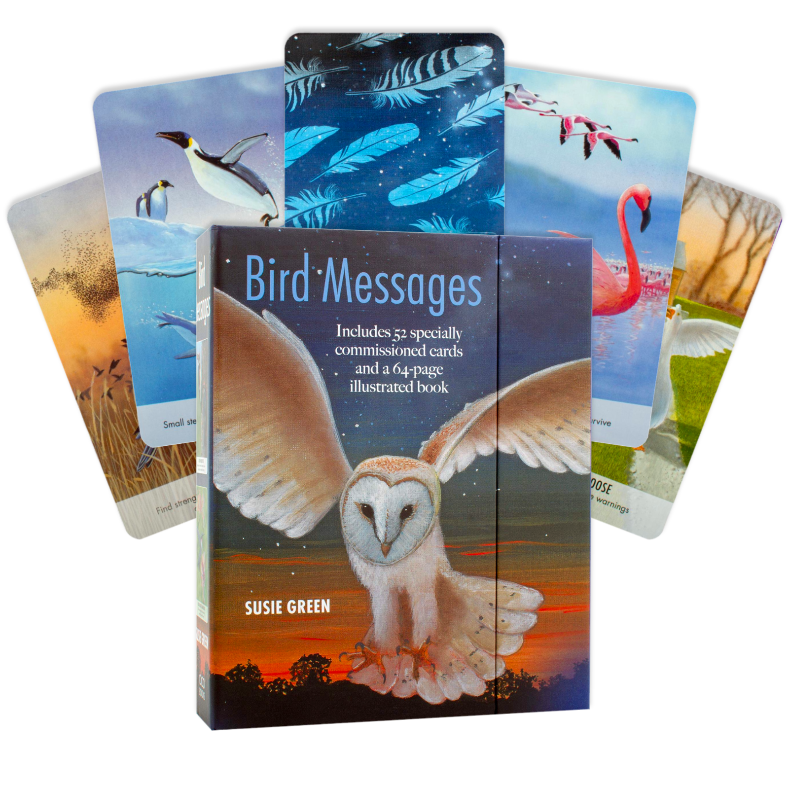 Bird Messages Cards