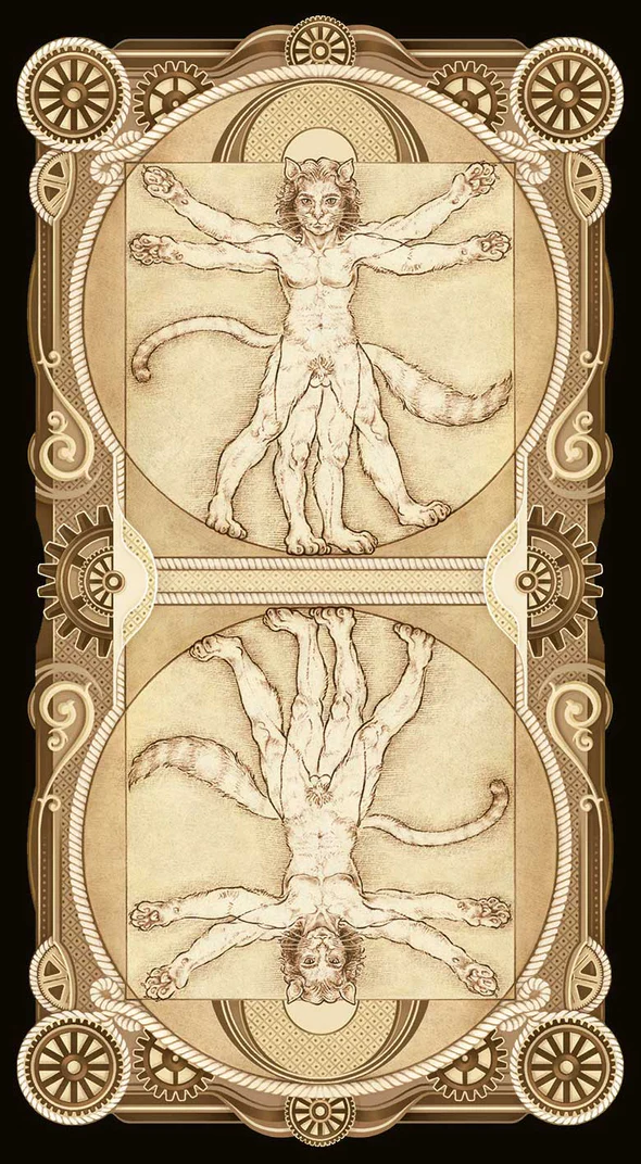 Cat Tarot Cards