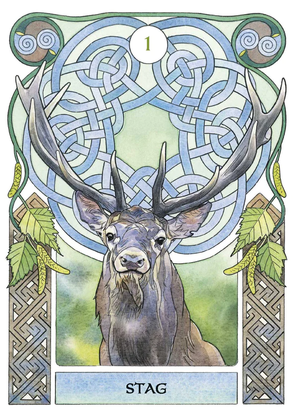 Celtic Astrology Oracle Cards