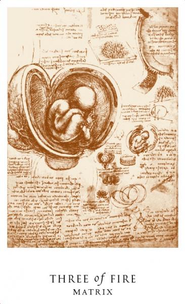 Da Vinci Enigma Tarot Cards