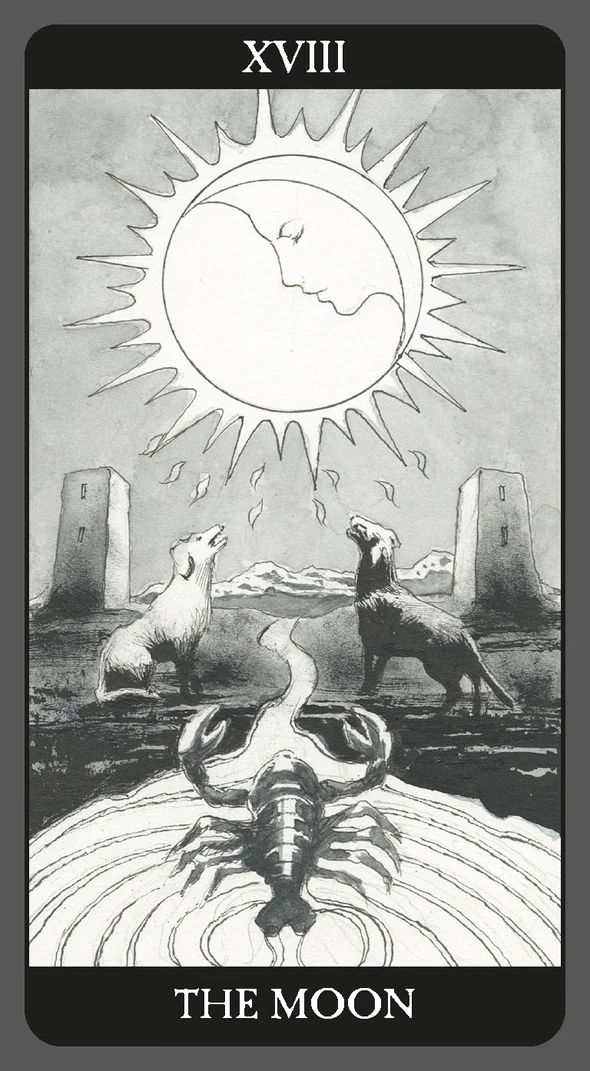 Dark Side Of Tarot Kit Cards