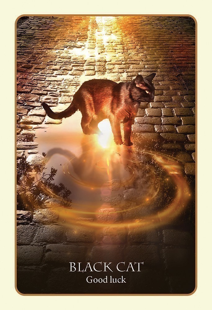 Divination of the Ancients Oracle Cards