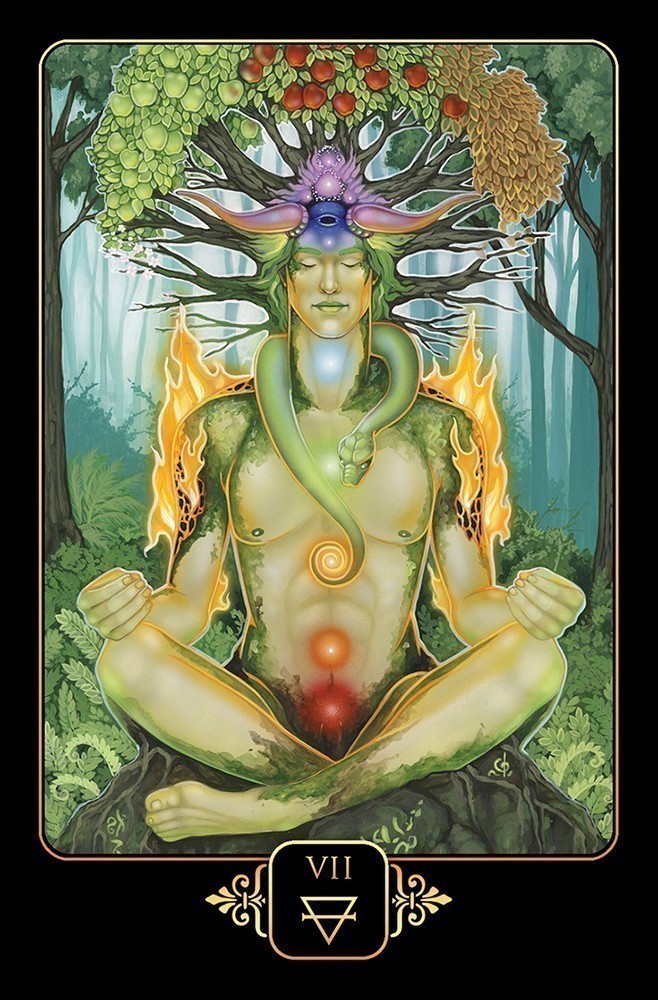Dreams of Gaia Tarot Cards