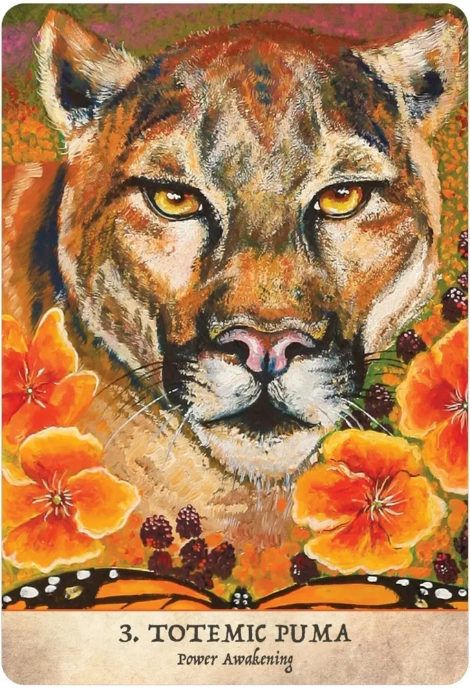 Earth Warriors Oracle Cards